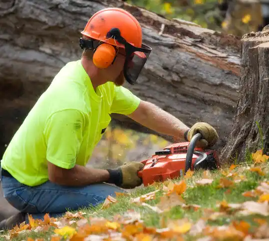 tree services Hahnville